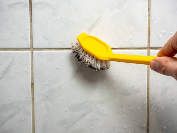 Best Professional Mold Removal  in Montecito, CA