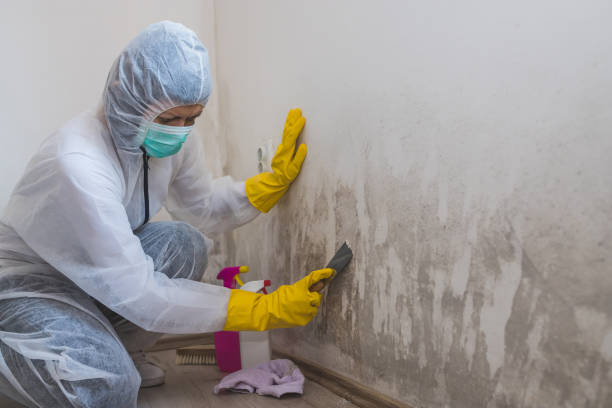 Best Crawl Space Mold Removal  in Montecito, CA