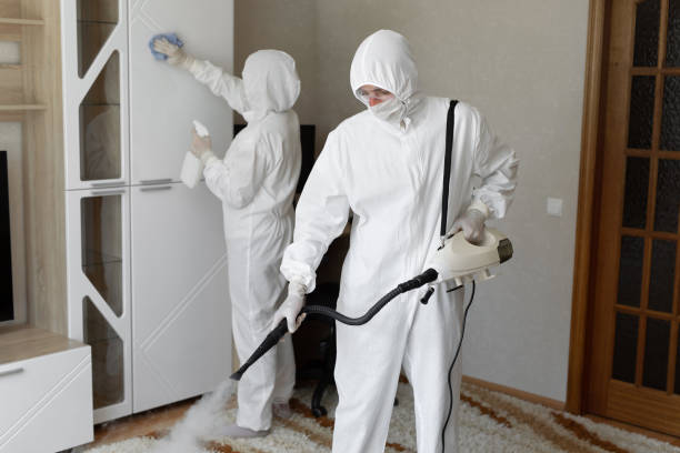 Best Fast Mold Removal  in Montecito, CA
